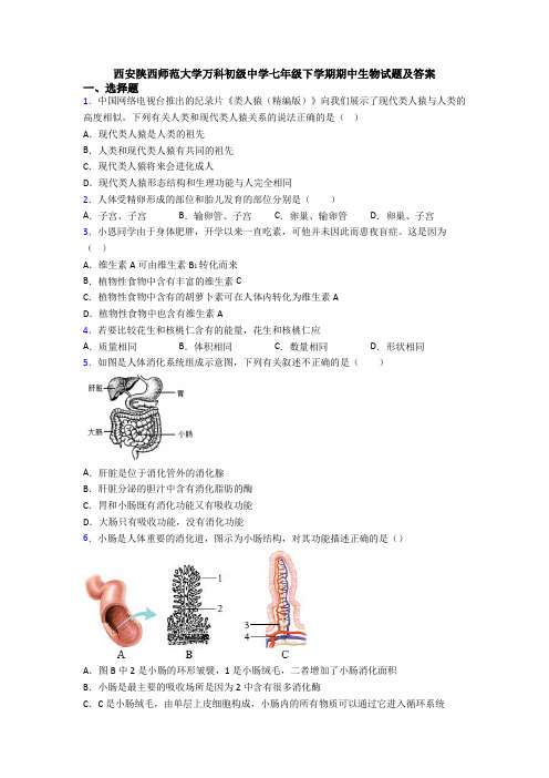 西安陕西师范大学万科初级中学七年级下学期期中生物试题及答案