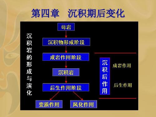 沉积岩石学@4沉积期后变化