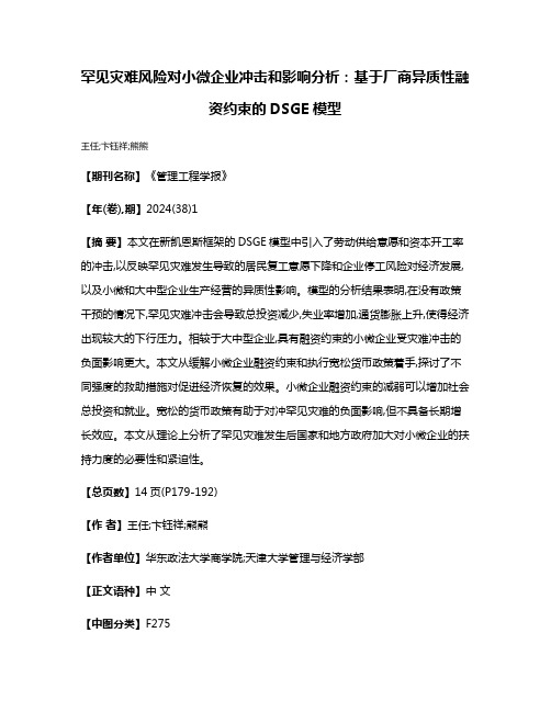 罕见灾难风险对小微企业冲击和影响分析:基于厂商异质性融资约束的DSGE模型