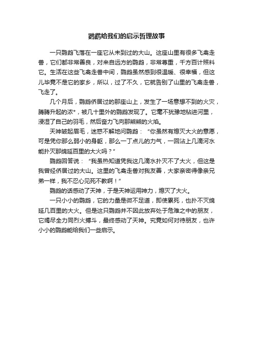 鹦鹉给我们的启示哲理故事