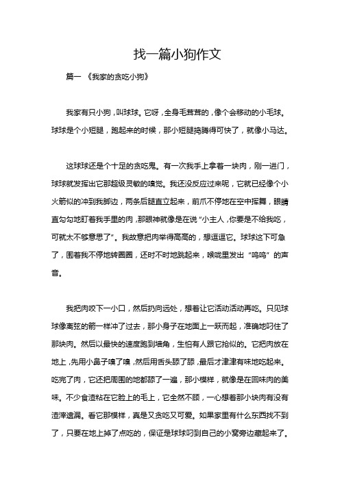 找一篇小狗作文