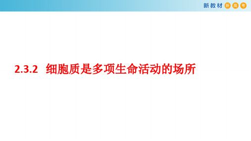 【新教材】2.3.2 细胞质是多项生命活动的场所 课件(2)-浙科版高中生物必修1分子与细胞