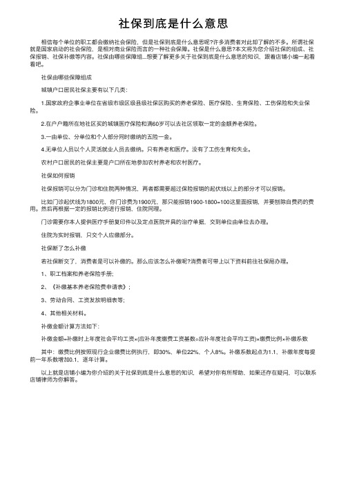 社保到底是什么意思