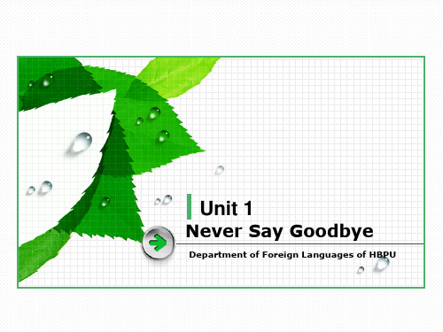 综合英语教程Unit1-Never-Say-Goodbyeppt课件