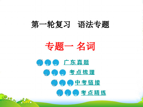 广东省中考英语总复习语法专题一名词课件(共34张PPT)