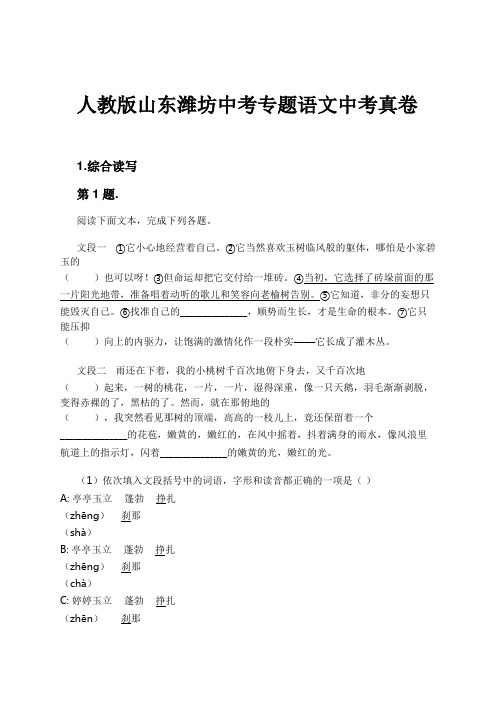 人教版山东潍坊中考专题语文中考真卷试卷及解析