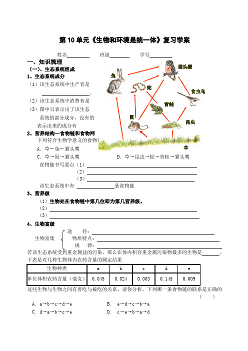 生物和环境是统一体专题复习学案