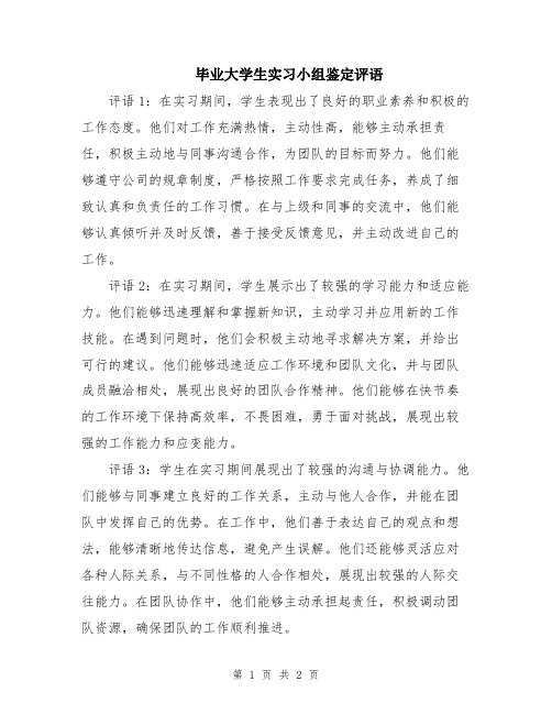 毕业大学生实习小组鉴定评语