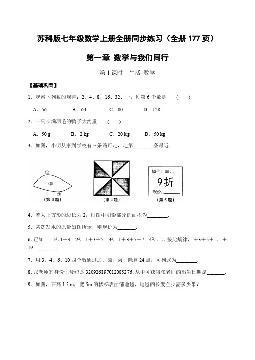 苏科版七年级数学上册全册同步练习(全册177页)