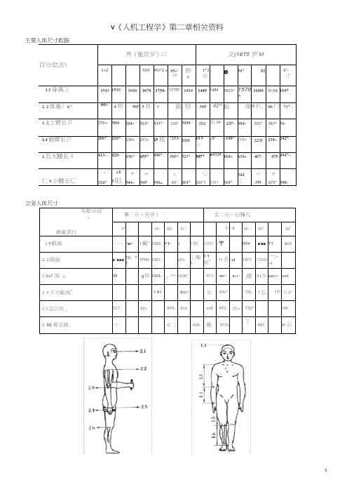 主要人体尺寸数据