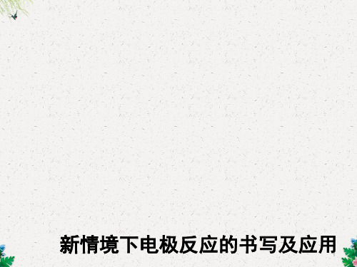鲁科版高二化学一轮复习新情景下电极反应的书写及应用课件(13张ppt)