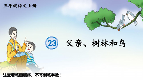 三年级语文上册23 父亲、树林和鸟生字笔顺课件