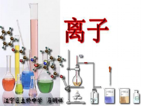 九年级化学离子2(1)