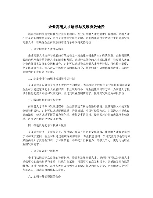 企业高潜人才培养与发展有效途径