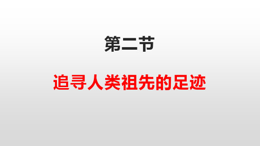 2021大象版六下科学第一单元第二节  追寻人类祖先的足迹(含答案)