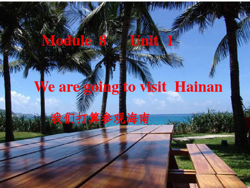 新外研版四年级英语上册Unit 1 We are going to Hainan 课件 2