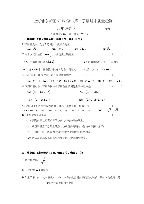 上海浦东新区2019学年初二数学第一学期期终考试卷