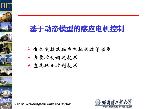 6.6 感应电机矢量控制调速技术