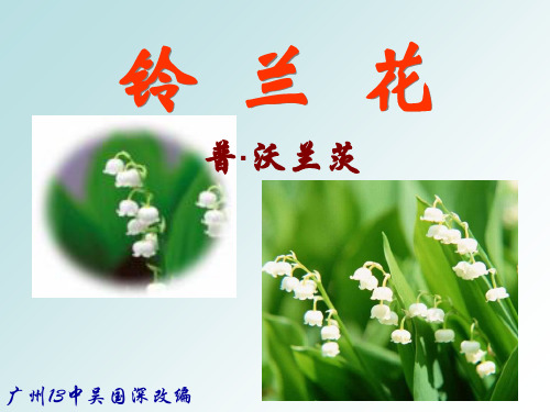 高中语文《铃兰花》PPT1