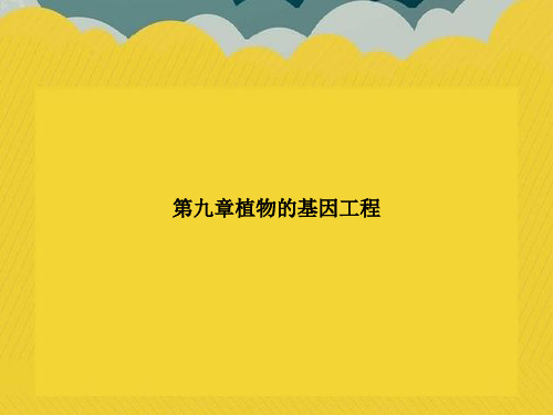 【实用文档】第九章植物的基因工程PPT