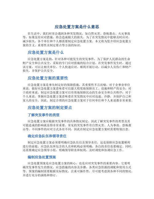 应急处置方案是什么意思