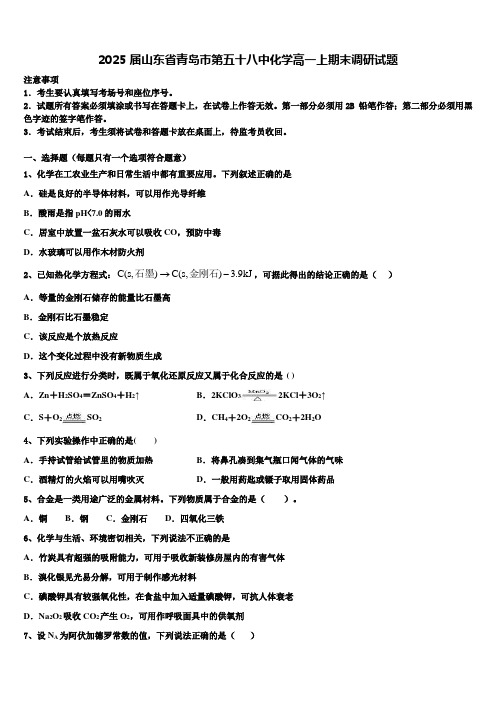 2025届山东省青岛市第五十八中化学高一上期末调研试题含解析