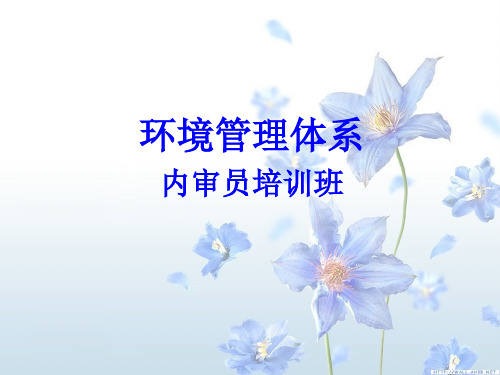 环境管理体系内审员培训教程(ppt 41页)