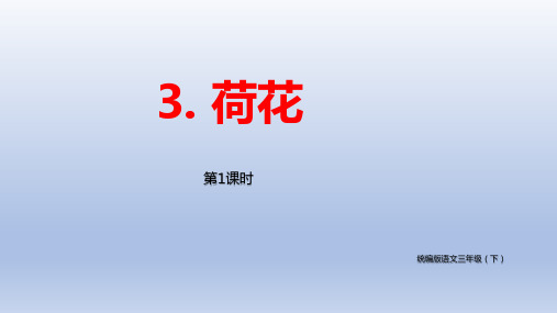 统编小学语文三年级下册《荷花》