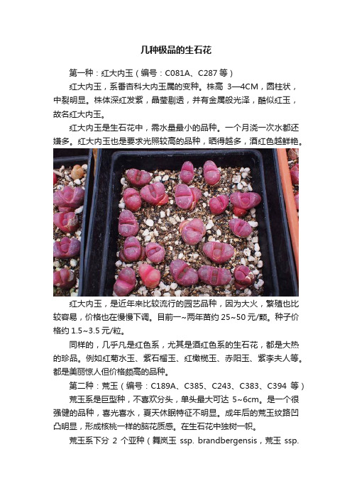 几种极品的生石花