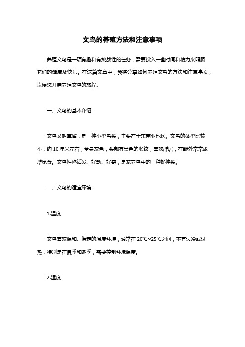 文鸟的养殖方法和注意事项