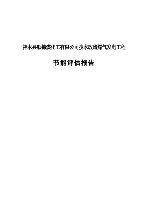 顺德煤化工有限公司技术改造煤气发电工程节能评估报告