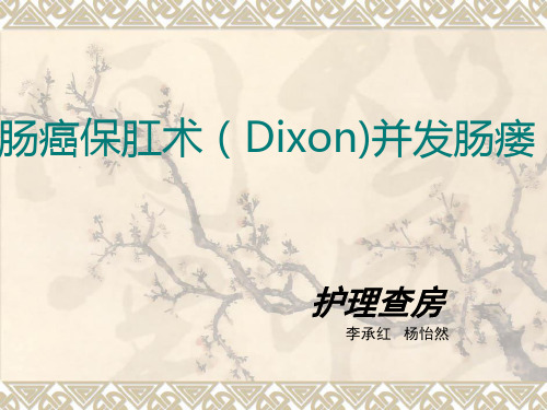直肠癌保肛术并发肠瘘-PPT课件