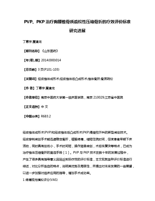 PVP、PKP 治疗胸腰椎骨质疏松性压缩骨折的疗效评价标准研究进展