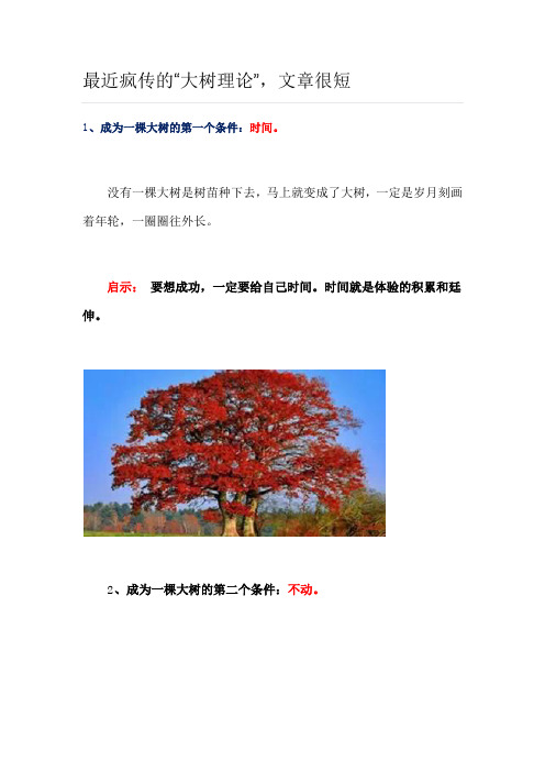 大树理论