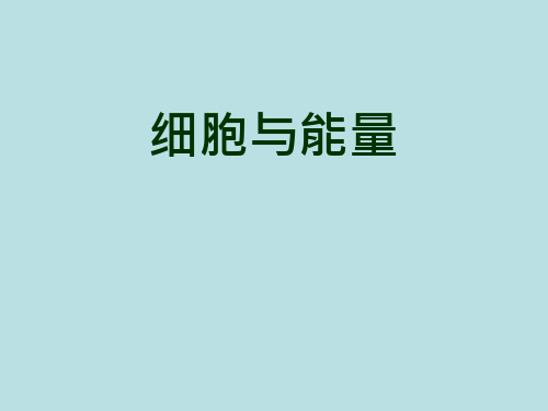 细胞与能量