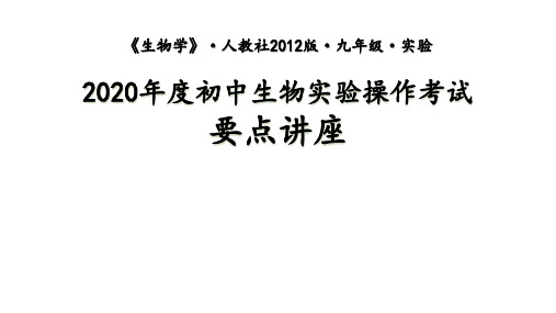 九年级生物课件实验指导要点讲座人教版