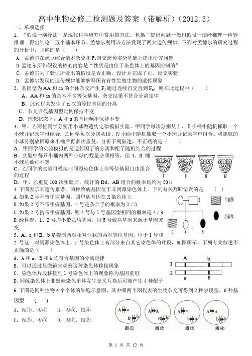 高中生物必修二检测题及答案(带解析)