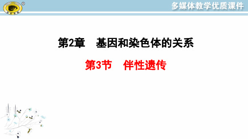 最新人教版高中生物必修二同步教学课件2.3  伴性遗传