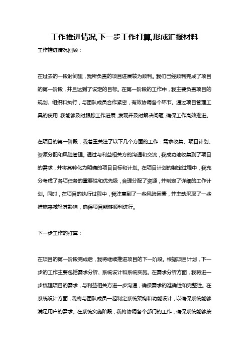 工作推进情况,下一步工作打算,形成汇报材料