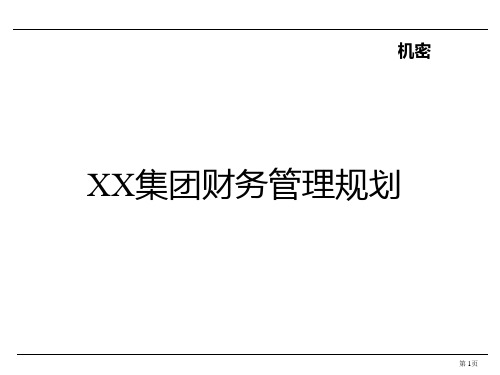 XX集团财务管理规划(ppt 55)