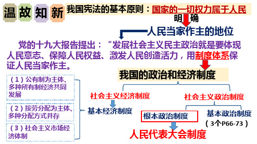 根本政治制度-部编版道德与法治八年级下册