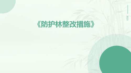 防护林整改措施