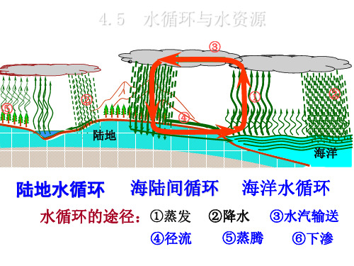 新沪粤版八年级物理上册课件%3A4.5 水循环与水资源 (共20张PPT)