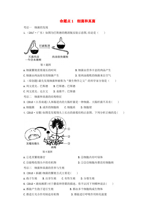 2019中考生物总复习第五单元生物圈中的其他生物第四五章细菌真菌以及病毒习题