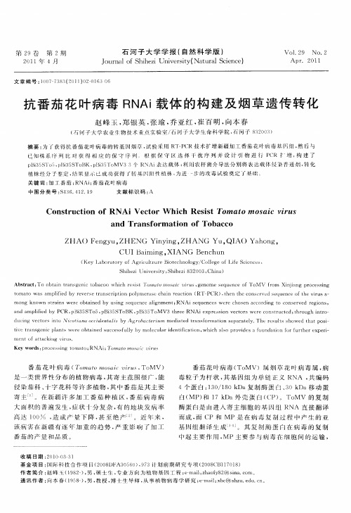 抗番茄花叶病毒RNAi载体的构建及烟草遗传转化