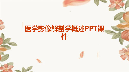 医学影像解剖学概述PPT课件