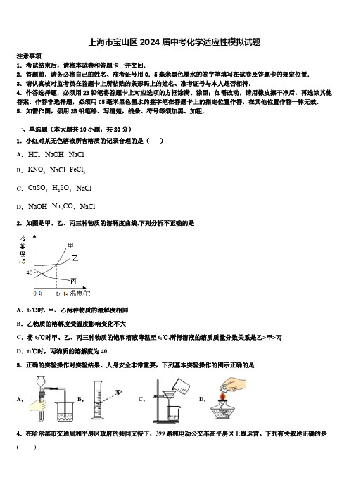 上海市宝山区2024届中考化学适应性模拟试题含解析