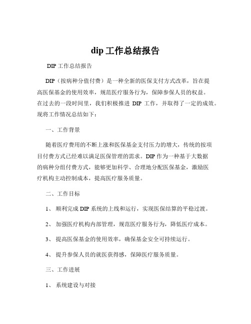 dip工作总结报告