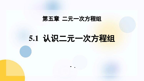 《认识二元一次方程组》二元一次方程组PPT课件