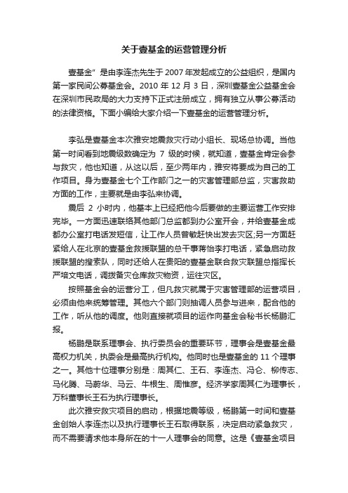 关于壹基金的运营管理分析